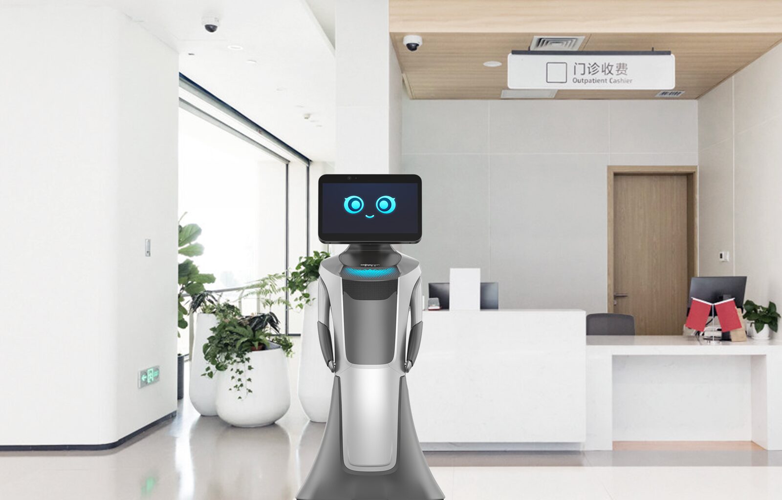 Service robot in a clinical/care setting